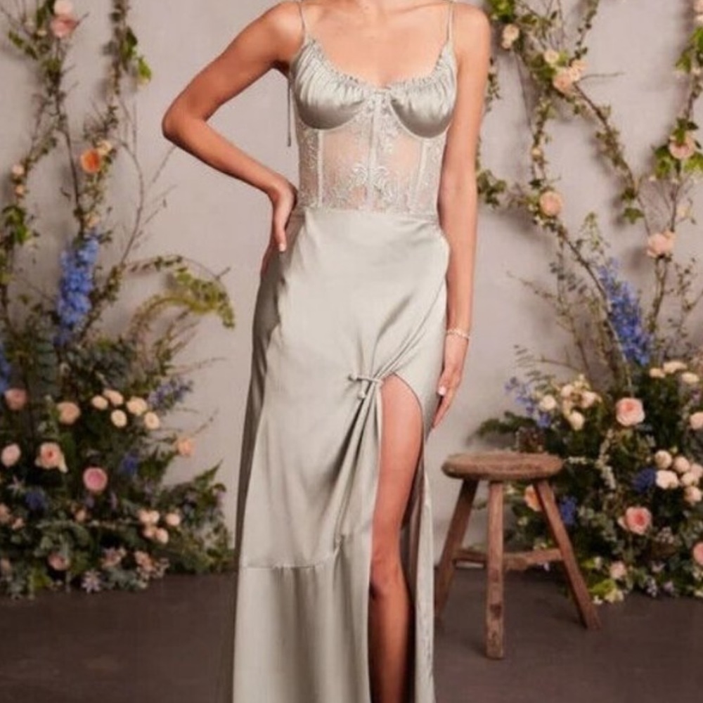 Brand new v chapman dress safe